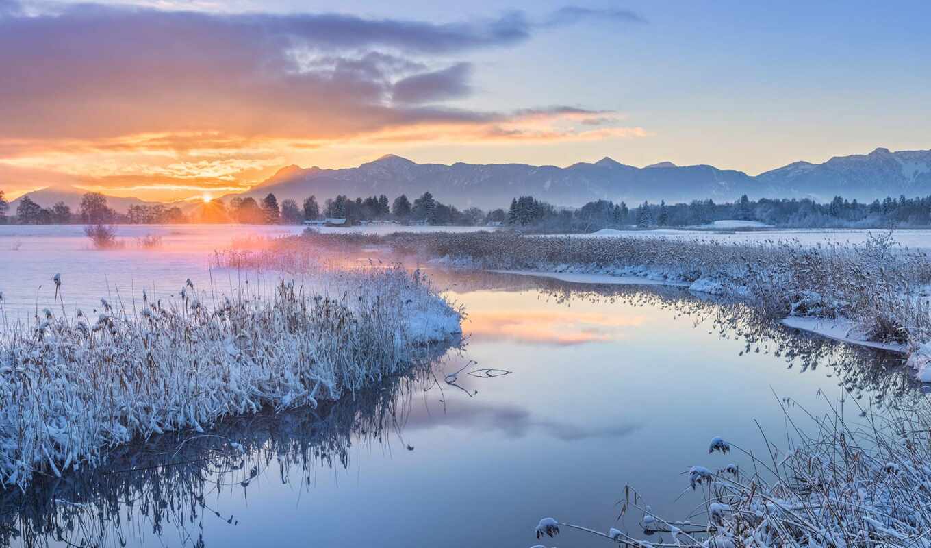 pic, morning, frosty