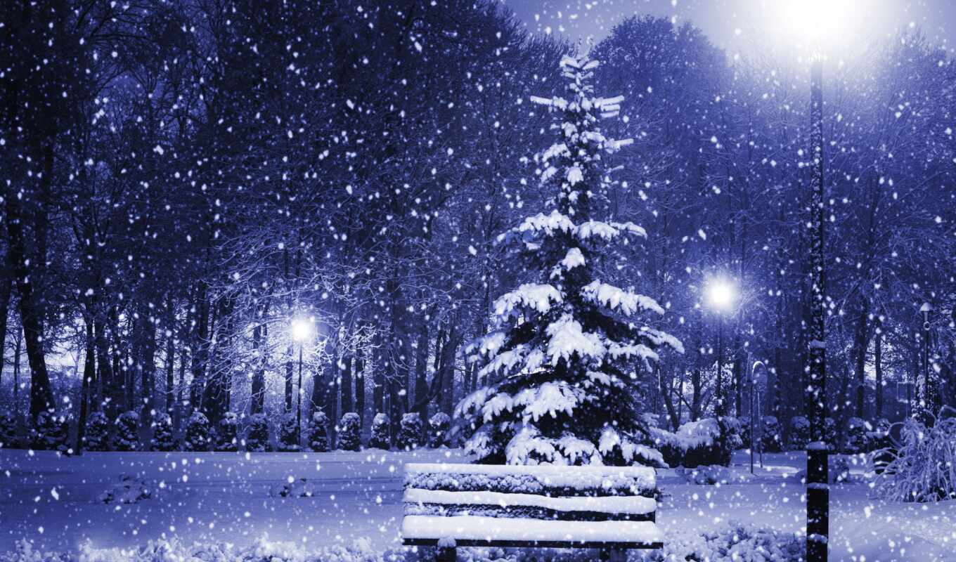 nature, picture, page, snowflakes, snow, winter, years, time, fir, bench