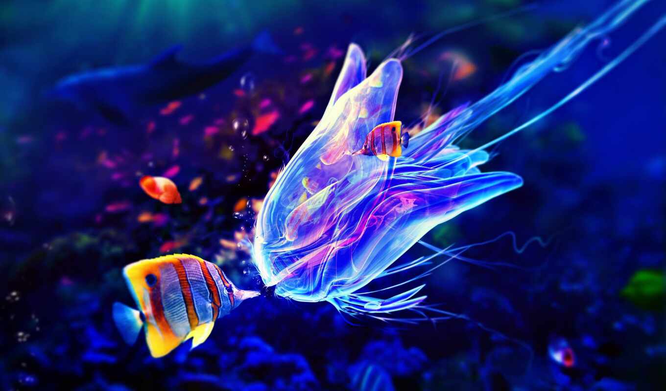 jellyfish, ultra