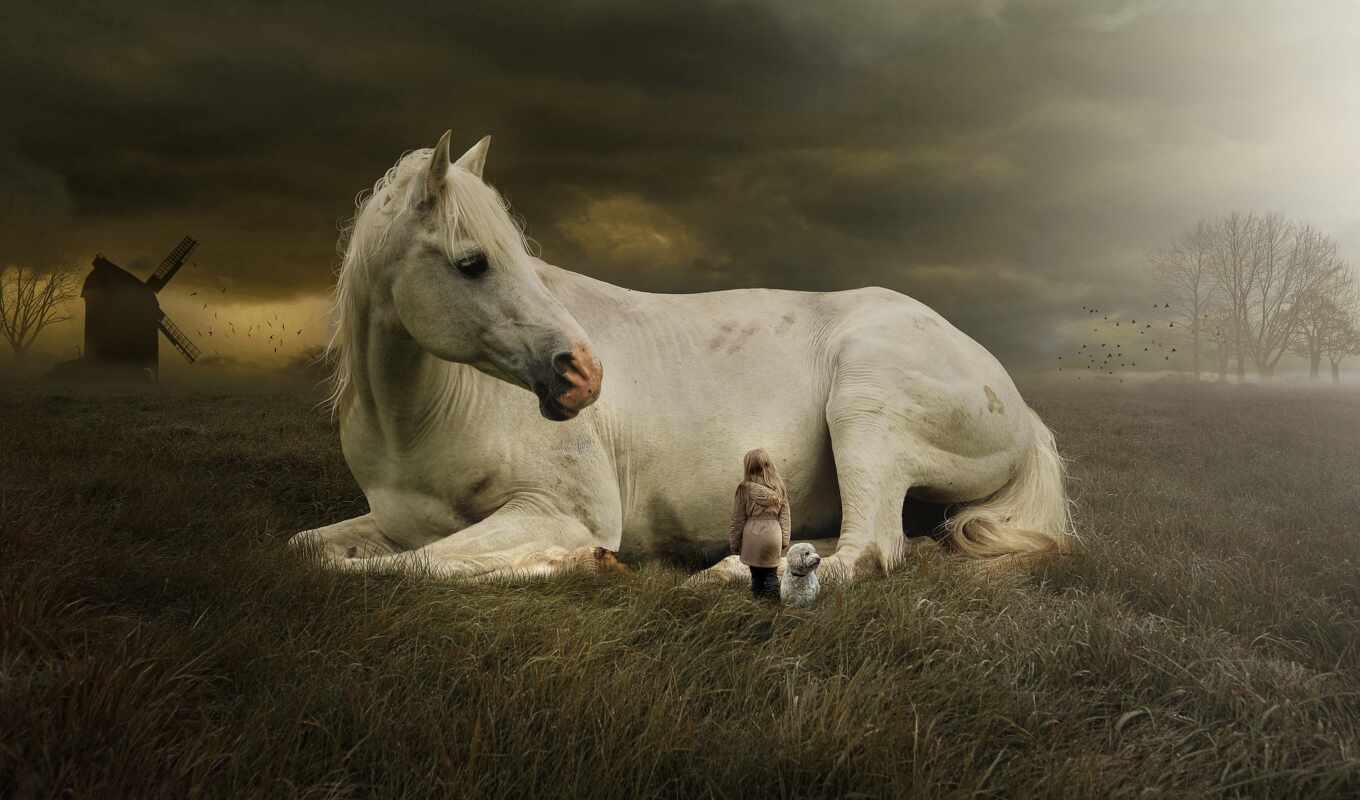 girl, background, online, horse, and, dragon, fantasy, dreamy, background image, einhorn, pferde