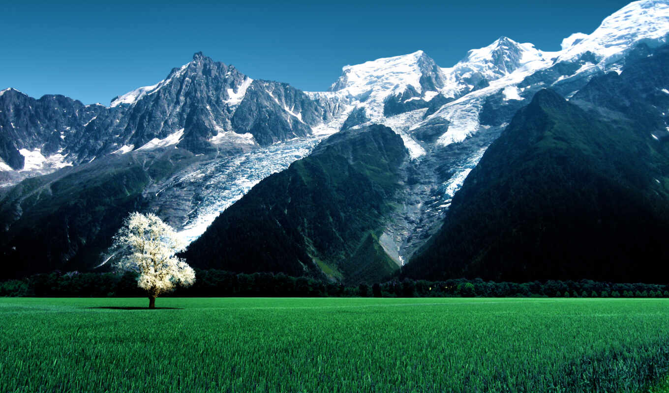 sky, fone, picture, tree, grass, mountains, glacier, meadow, bosses, mountains