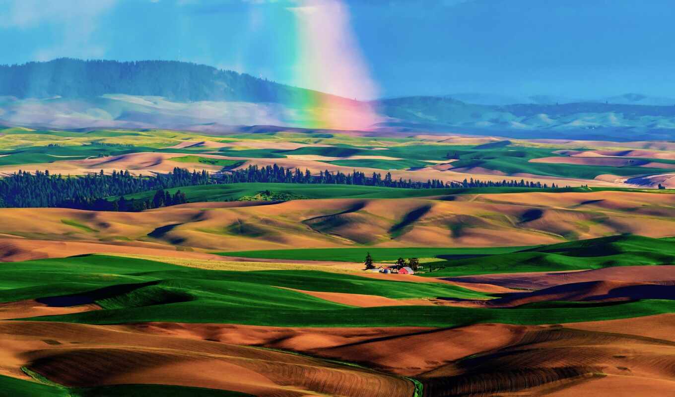 with, rainbow, after, desert, rain, hills
