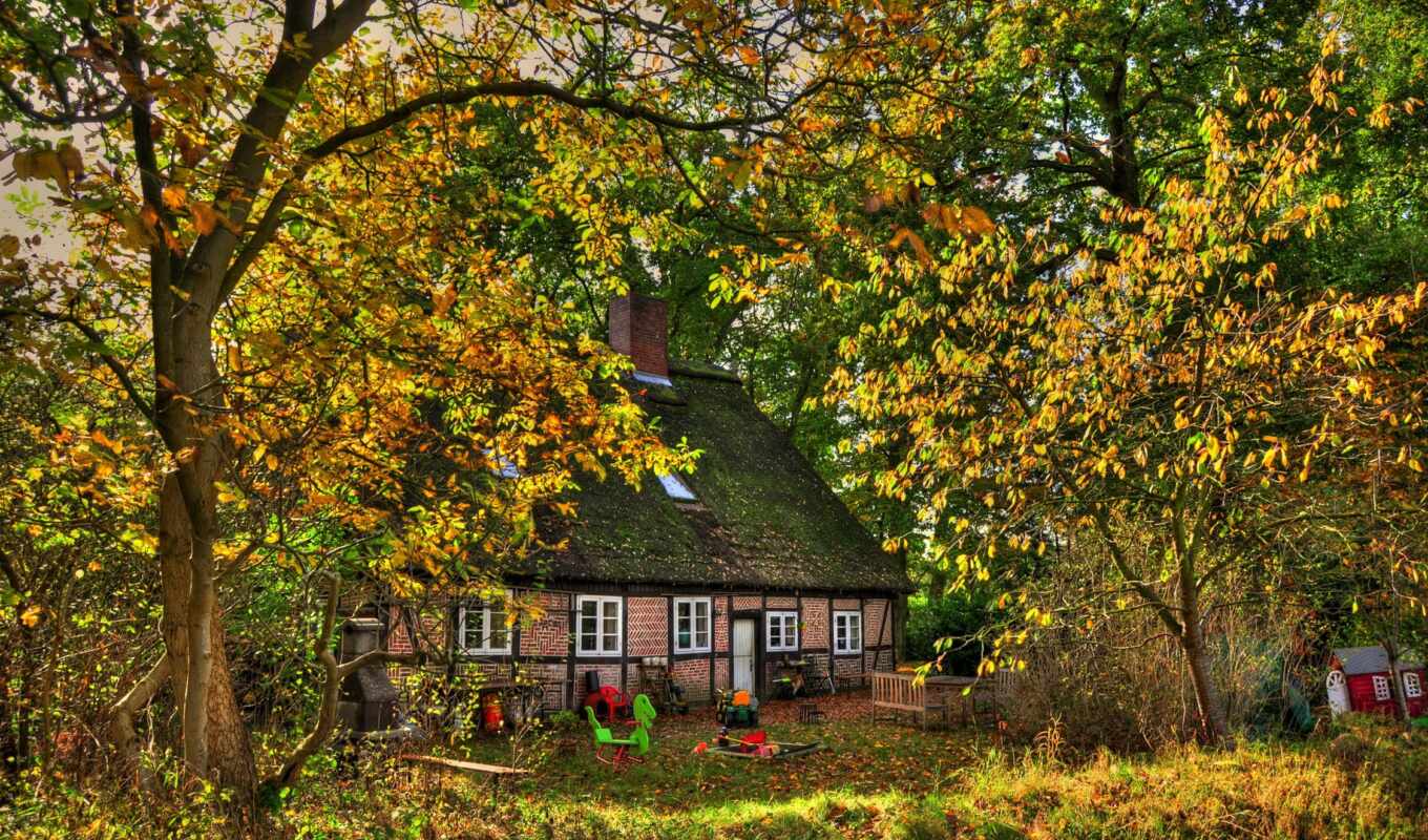 house, tree, square, fireplace, autumn, foliage, trees, bench, thatch