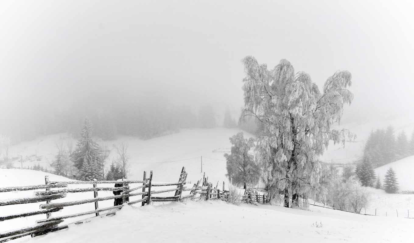 природа, пейзажи -, winter, landscape, con, fondo, бланки, нибла, nieve, invierno