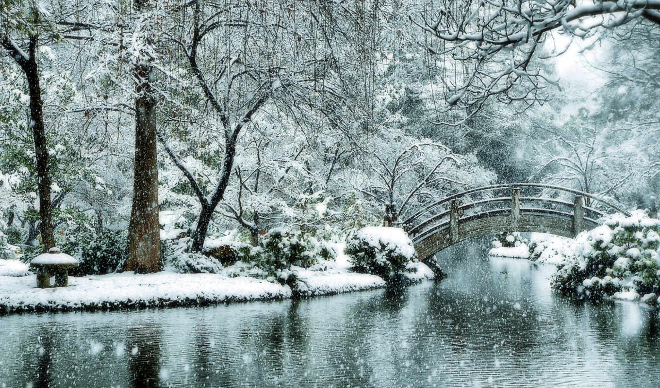 tree, winter, deck, Bridge, japanese, garden, season, snowfall