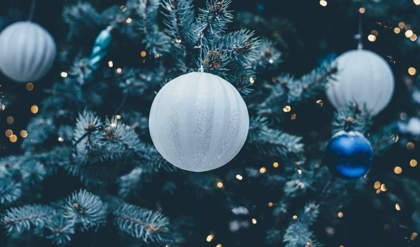 tree, christmas