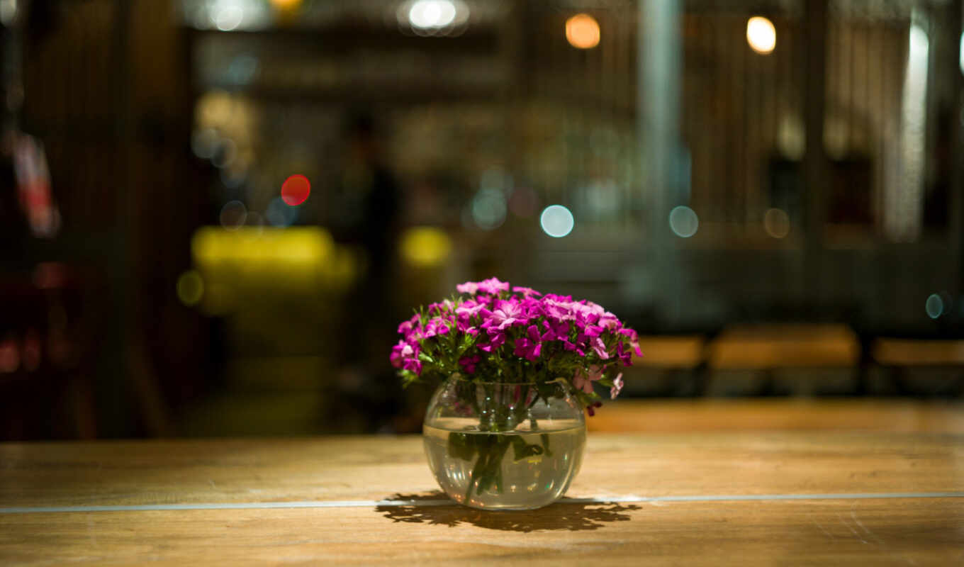 цветы, картинка, ваза