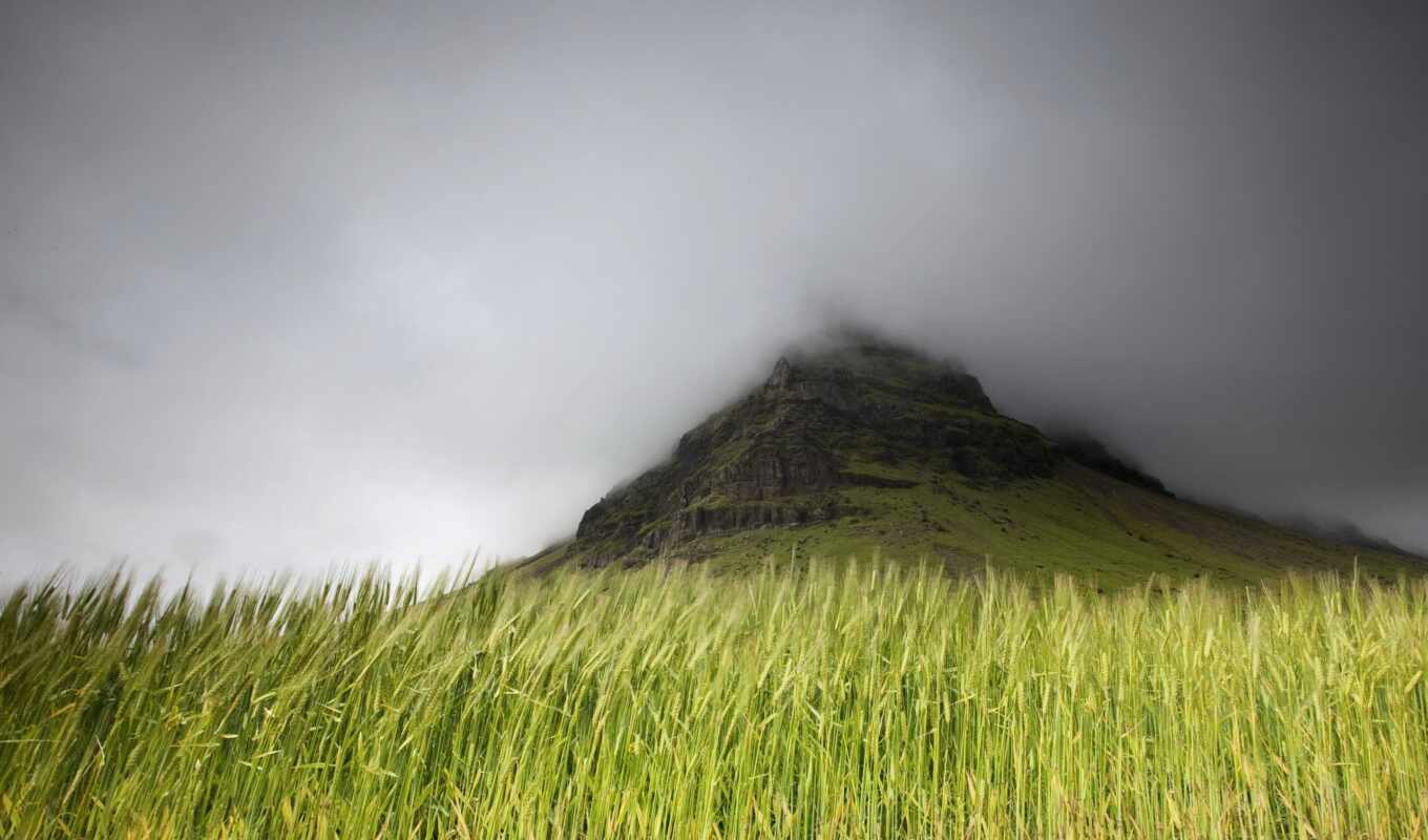 природа, страница, поле, поля, mountains, туман, тег, mist, flickr