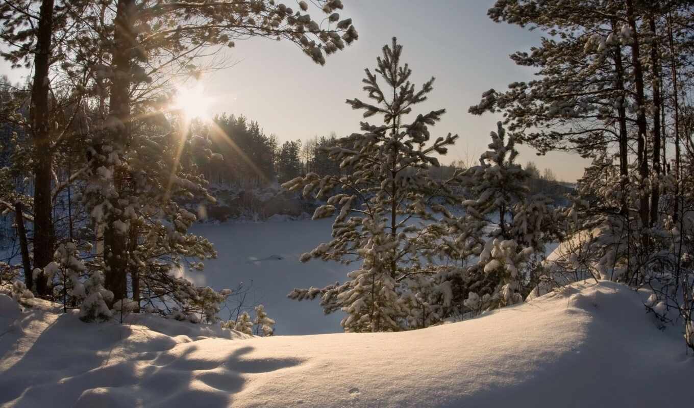 природа, дерево, снег, landscape, cover, fantasy, холод, арка, pine, температура, bora
