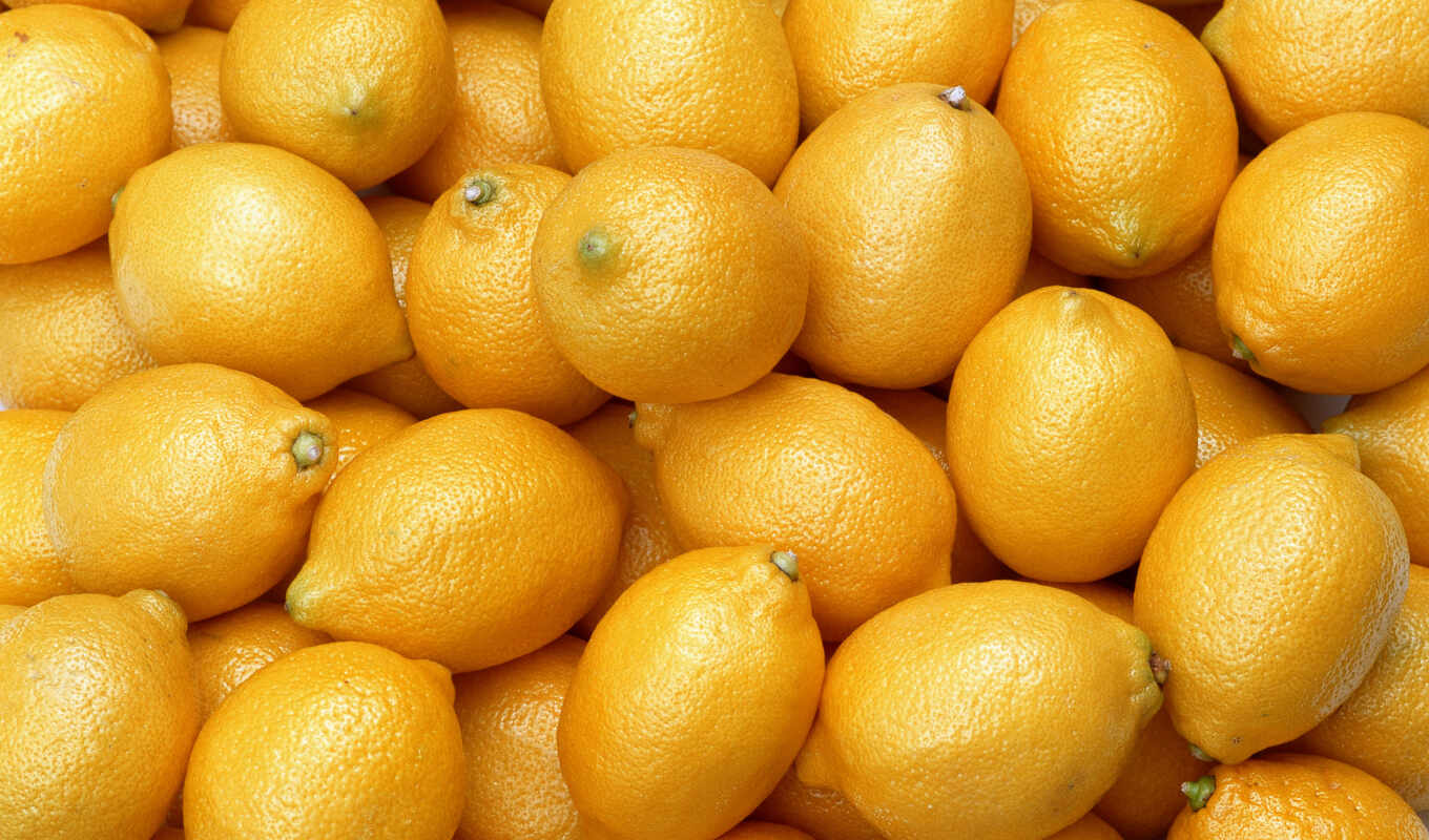 еда, плод, растение, lemon, оранжевый, цитрус, clementine, tangerine