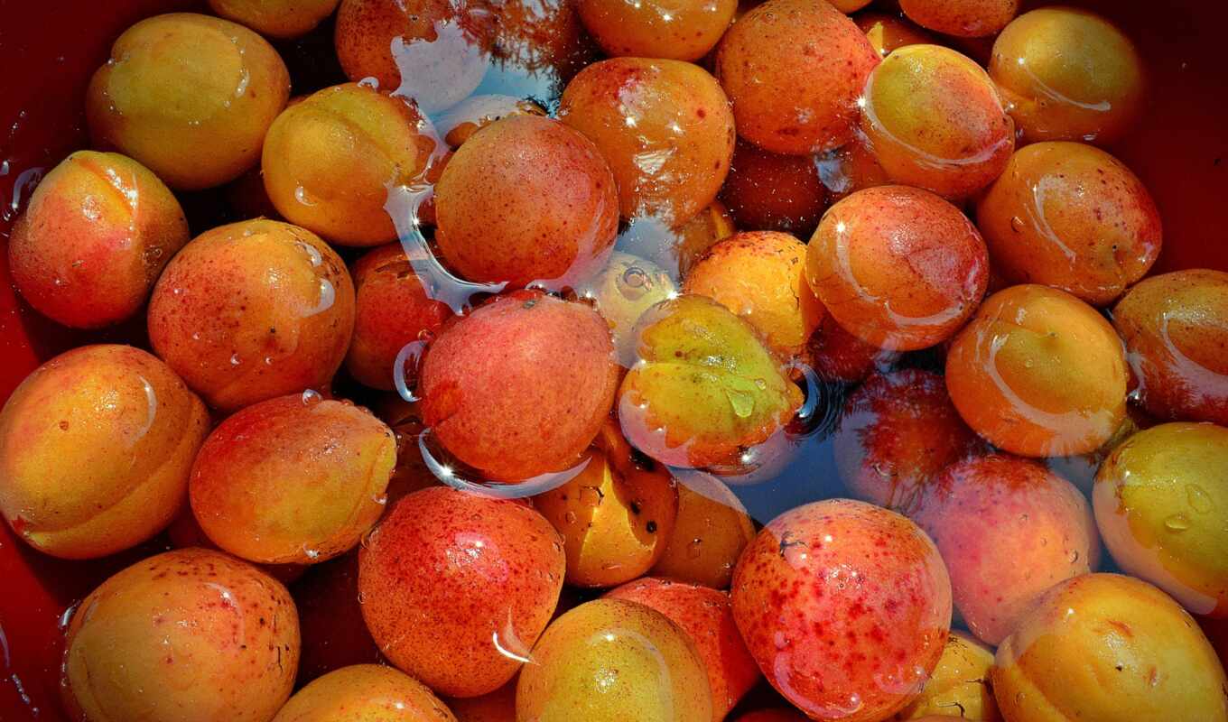peach, apricot, spring, clamp, apricots, apricots