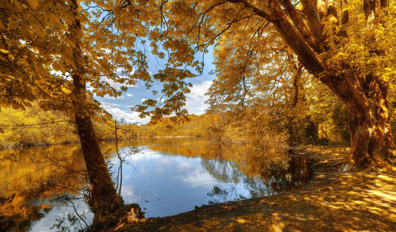 природа, небо, лес, осень, отдых, листва, река, trees, рыбалка, красиво