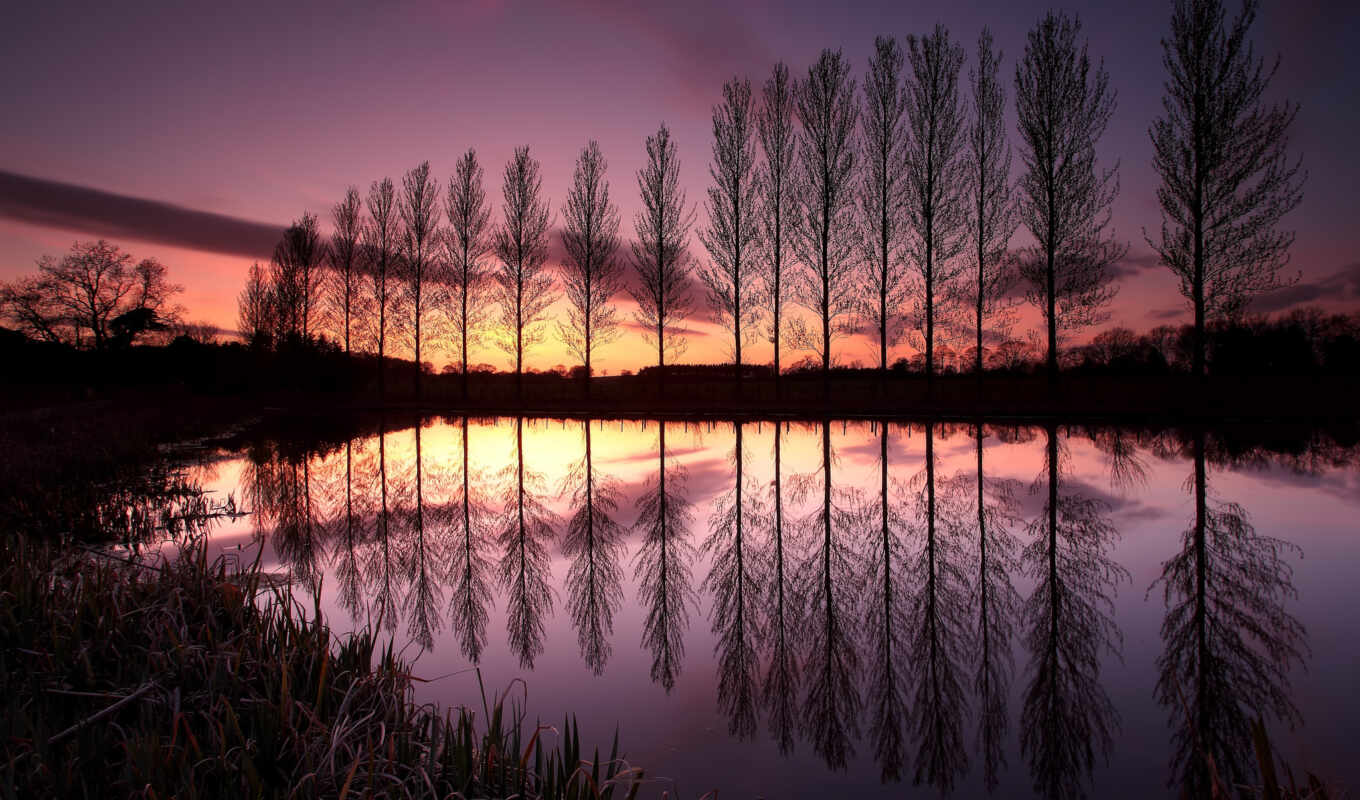 lake, sky, sunset, evening, Great Britain, trees, reflection, trees, wholesale, range, cloud