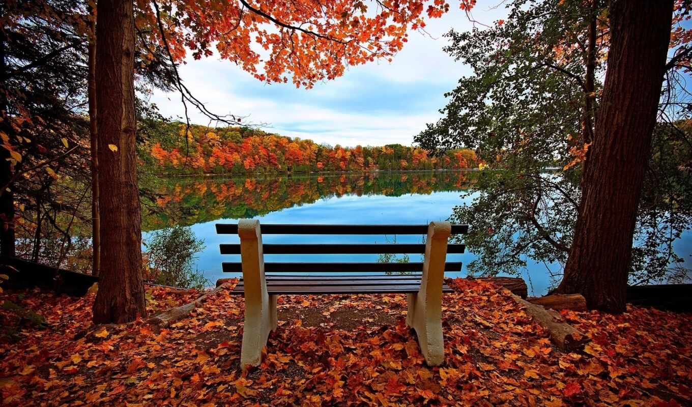 lake, nature, picture, autumn, foliage, river, trees, bench