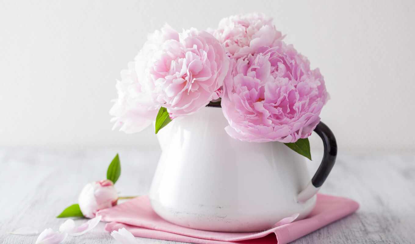 картинка, розовые, розовый, красивый, букет, cvety, пионы, белой, вазе, стоковые, пион