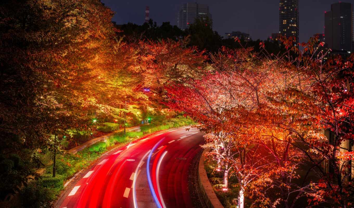 фото, город, бесплатные, осень, tokyo, япония