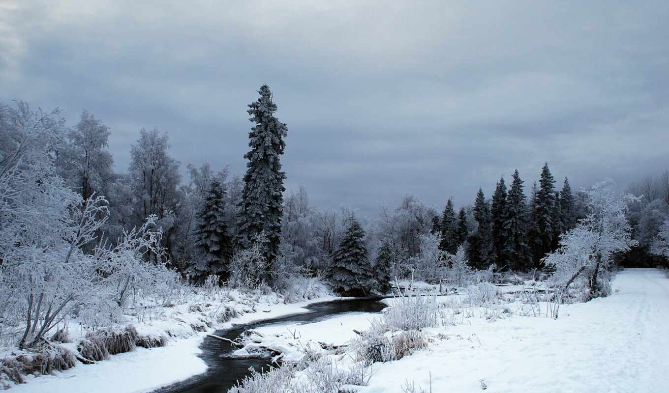 природа, дерево, снег, winter, река, аляска, fore