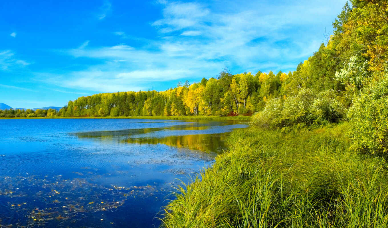 lake, nature, summer, grass, water, forest, reflection, siberian