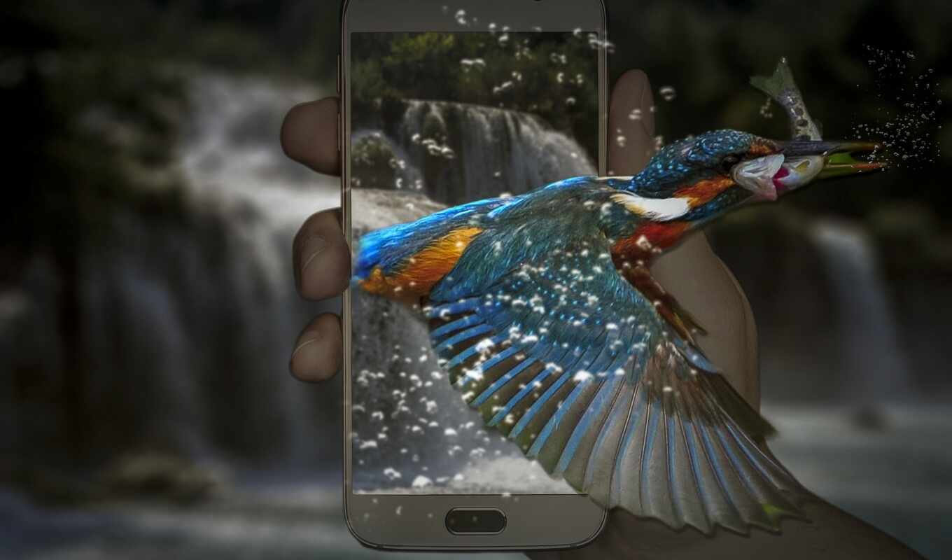 телефон, kingfisher, manipulation