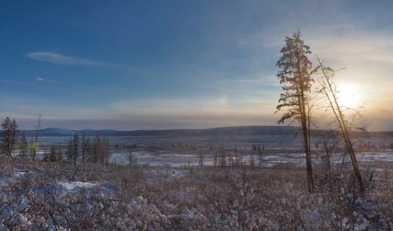 sun, snow, north, Of Russia, extreme, trees, pole, ♪, cold, oomekon, oymyakon