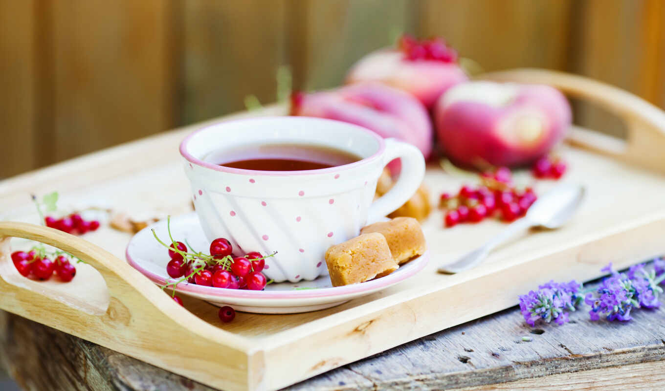 collection, red, card, cup, tea, dessert, drink, currant, ingredient, lozhok