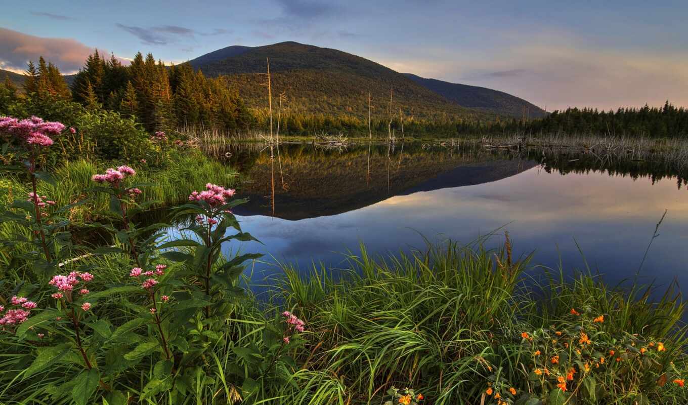 lake, nature, flowers, colors, grass, mountain, scenery, puzzle, Quebec, fore
