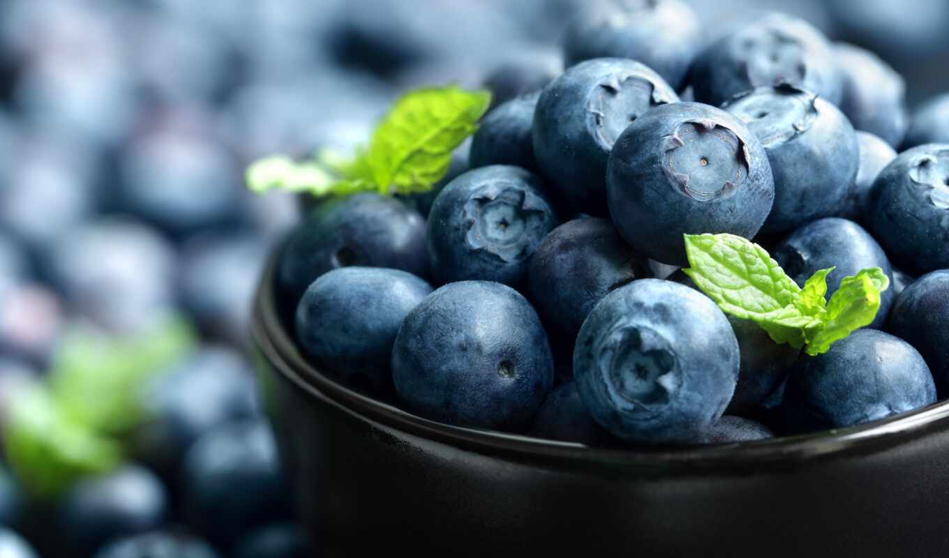 berry, blueberries, meal, useful