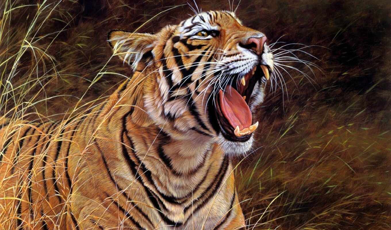 online, pictures, photos, different, tiger, tigers, puzzle, cardboard, topics