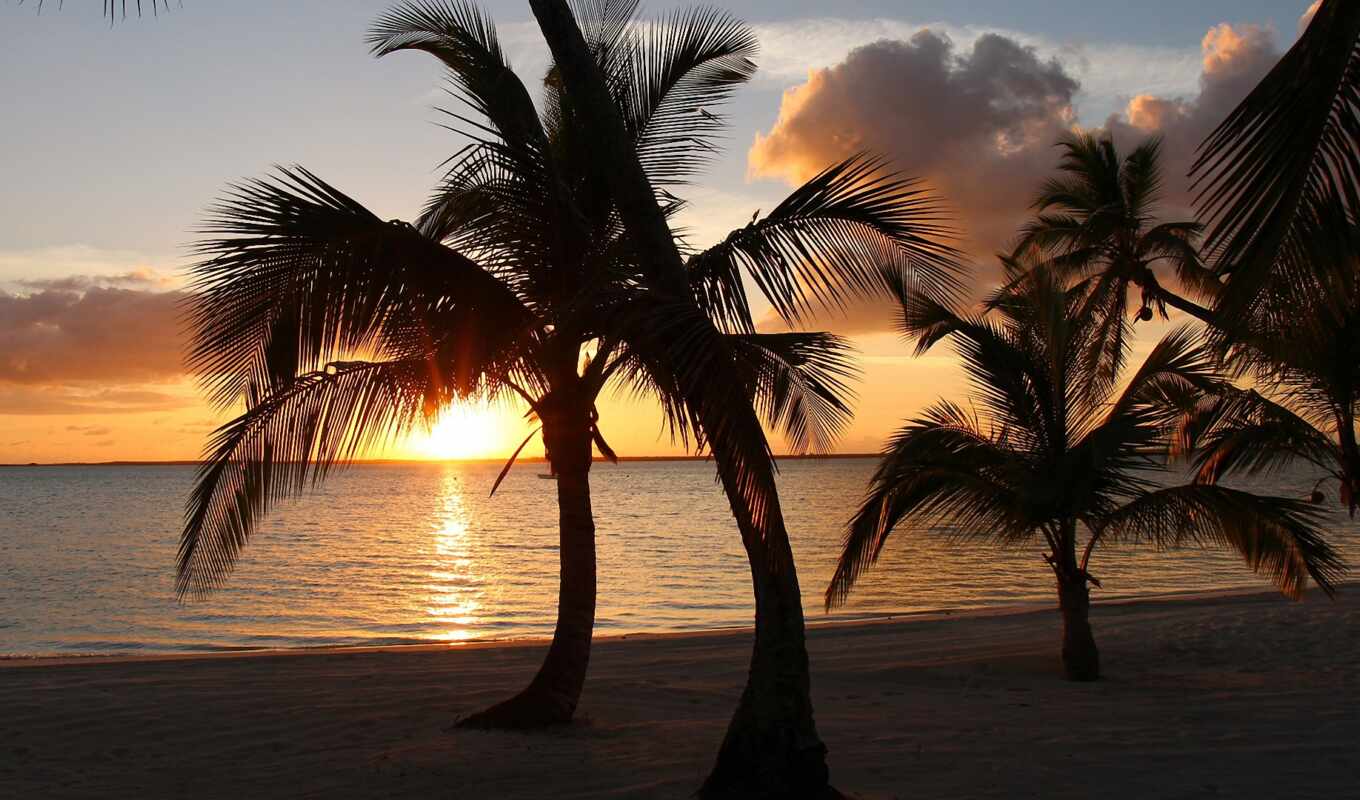 стена, плакат, soleil, диван, palma, солнце, пляж, zakat, bahama, oblako, tropik