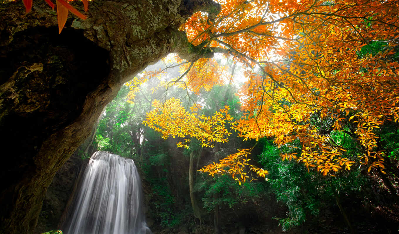 nature, autumn, waterfall
