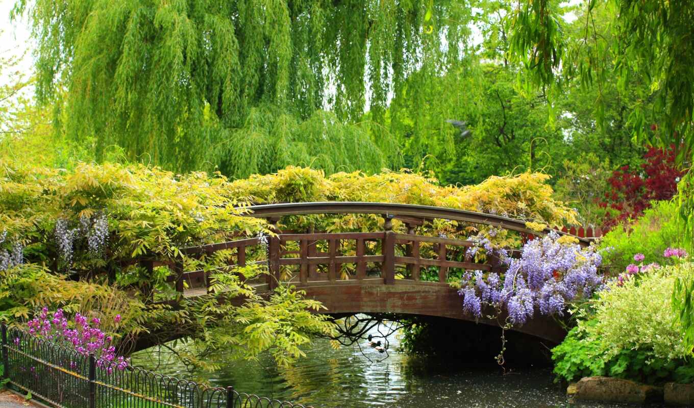 природа, широкоформатные, мост, бесплатные, park, trees, cvety, кусты