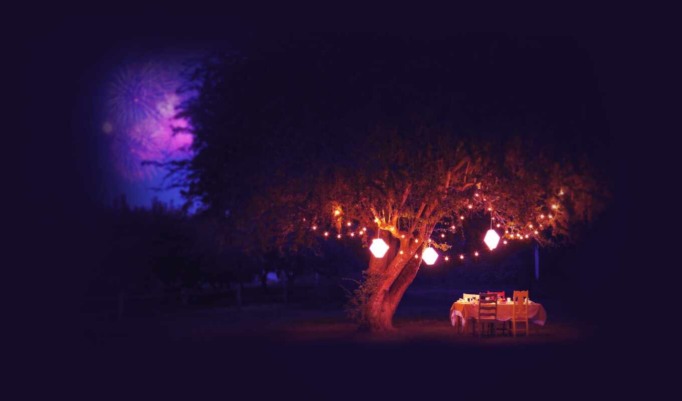 дерево, ночь, romantic, dinner, крымский