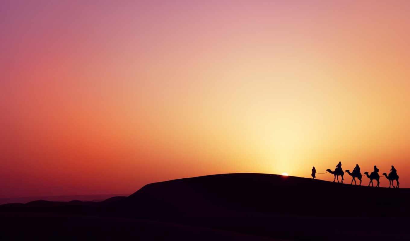 sunset, desert