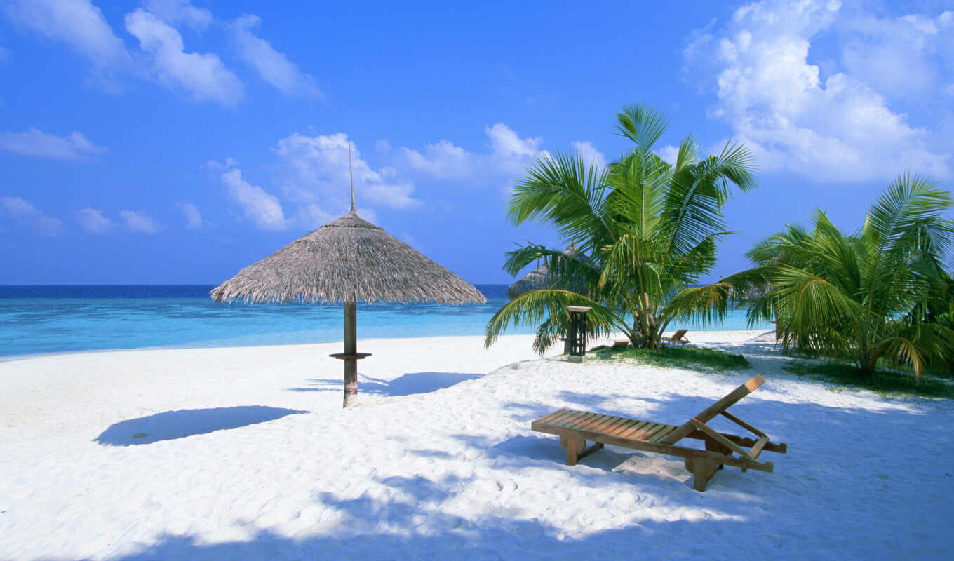 summer, beach, sand, palm trees, ocean, canopy, bahamas, lounge chair