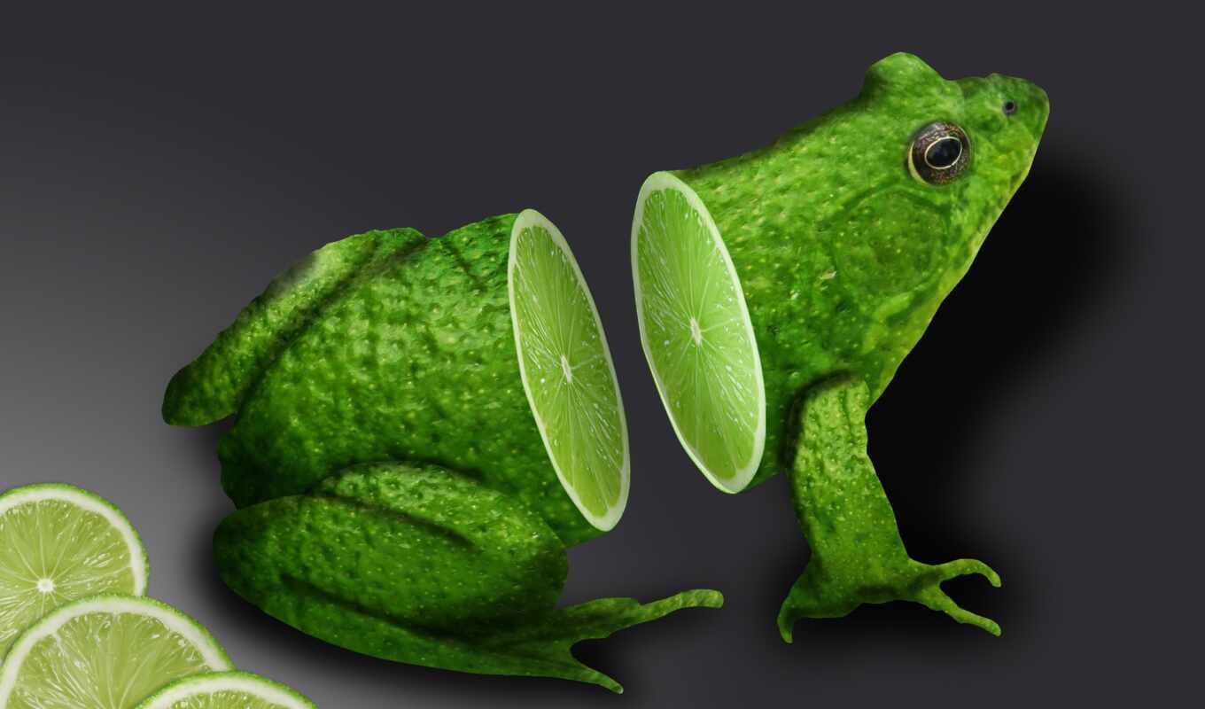 collection, large format, graphics, page, already, the best, frog, uploaded, frogs, lime