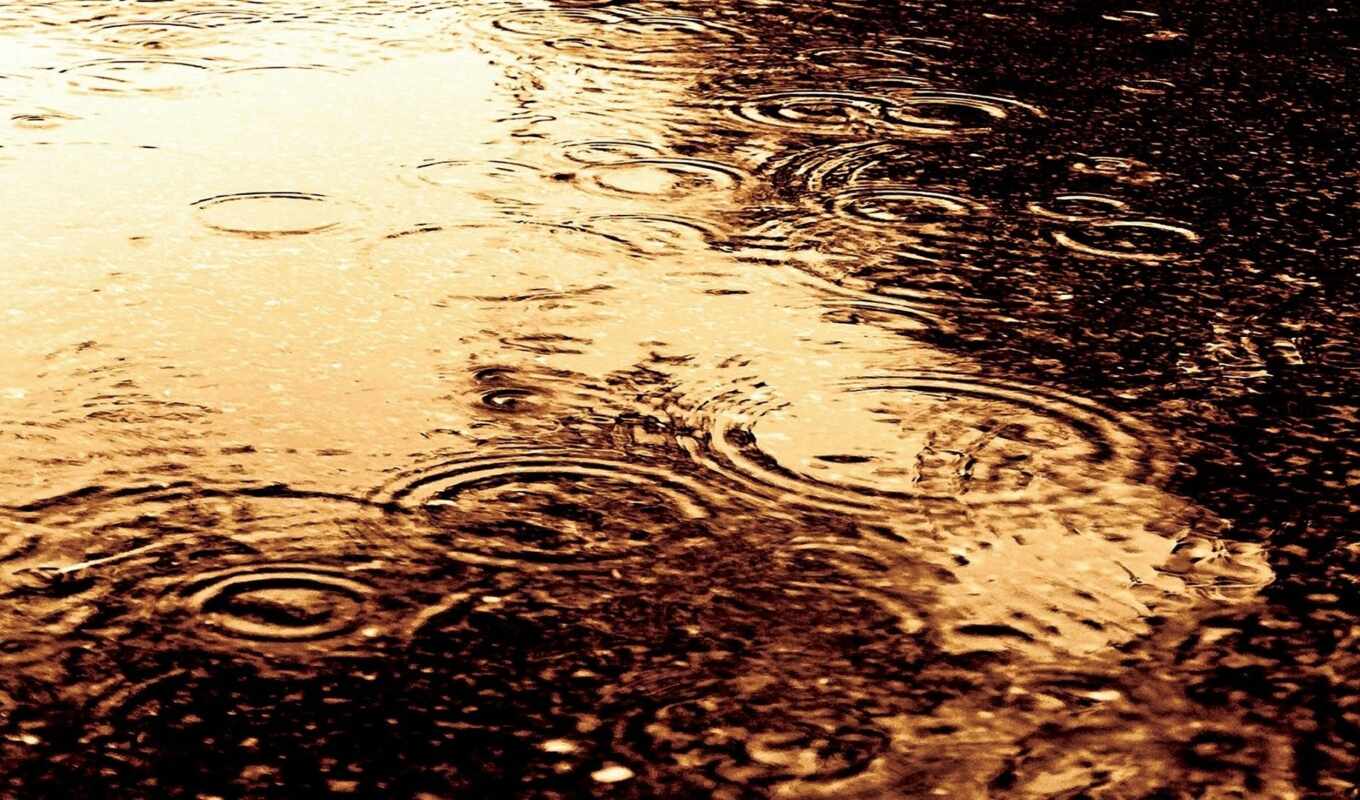 drop, rain, water
