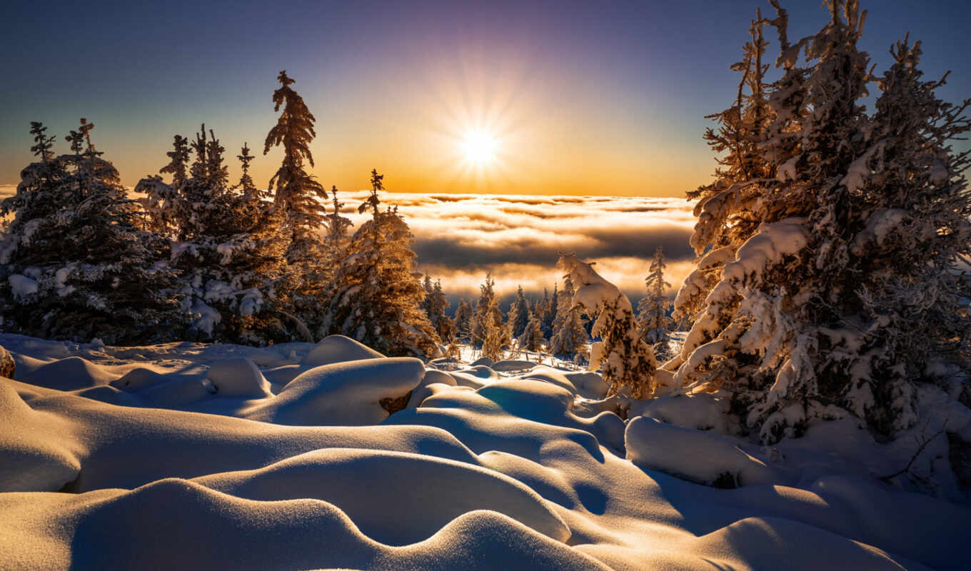 winter, sun, снег, природа, landscape