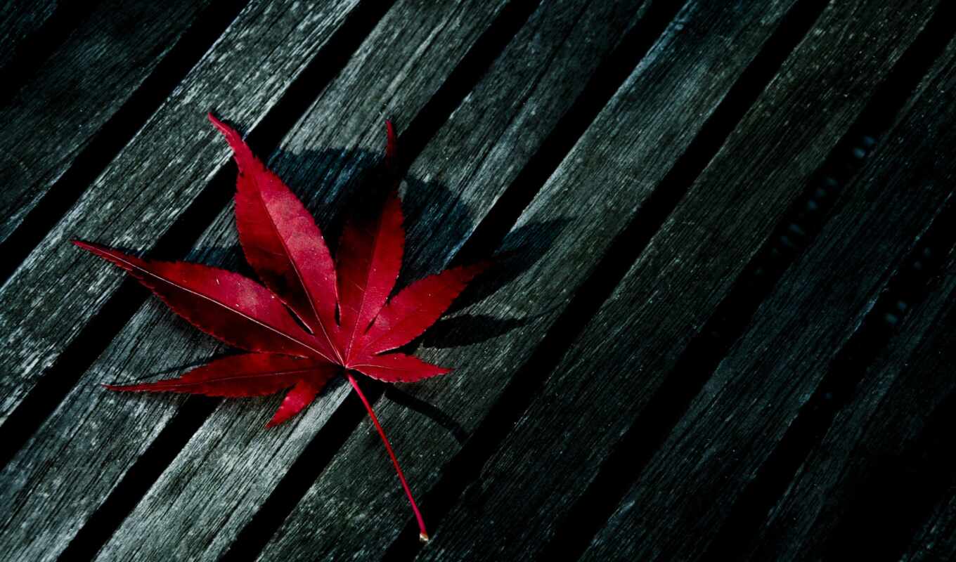 лист, red