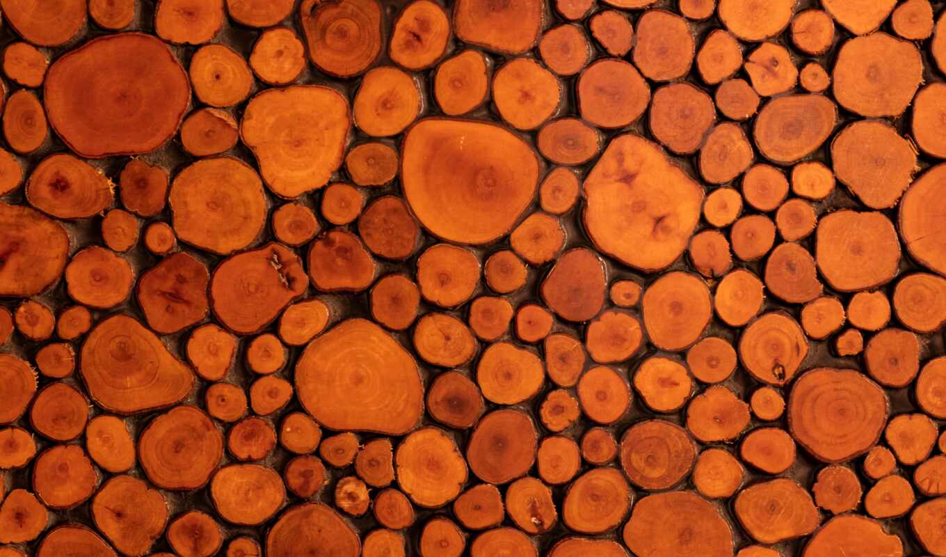 tree, wood