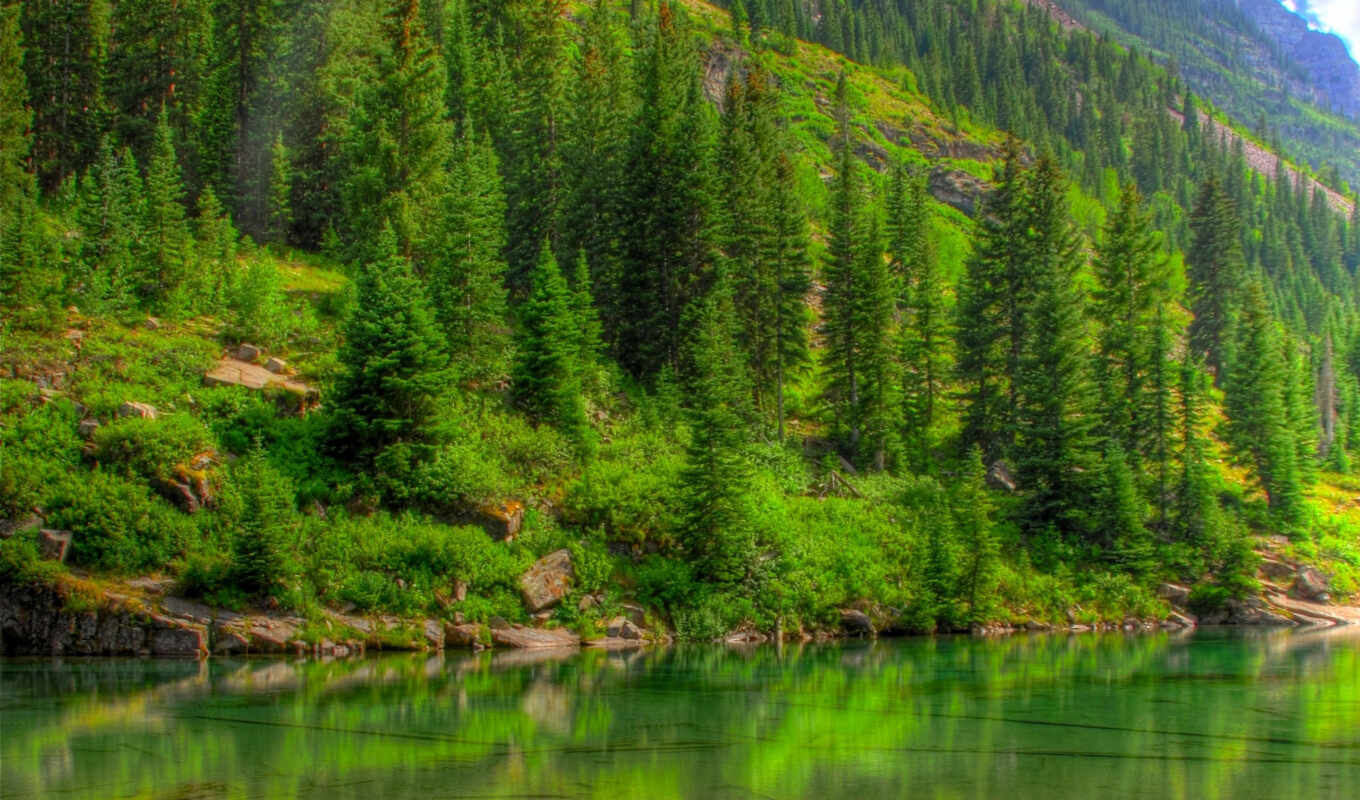 озеро, природа, пейзажи -, full, зелёный, лес, one, лесу, горы