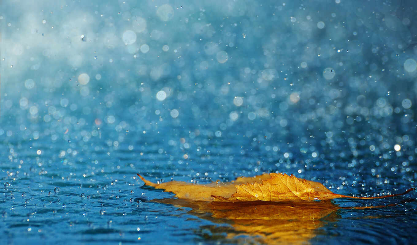 ipad, лист, капли, дождь, water, осень, дождя