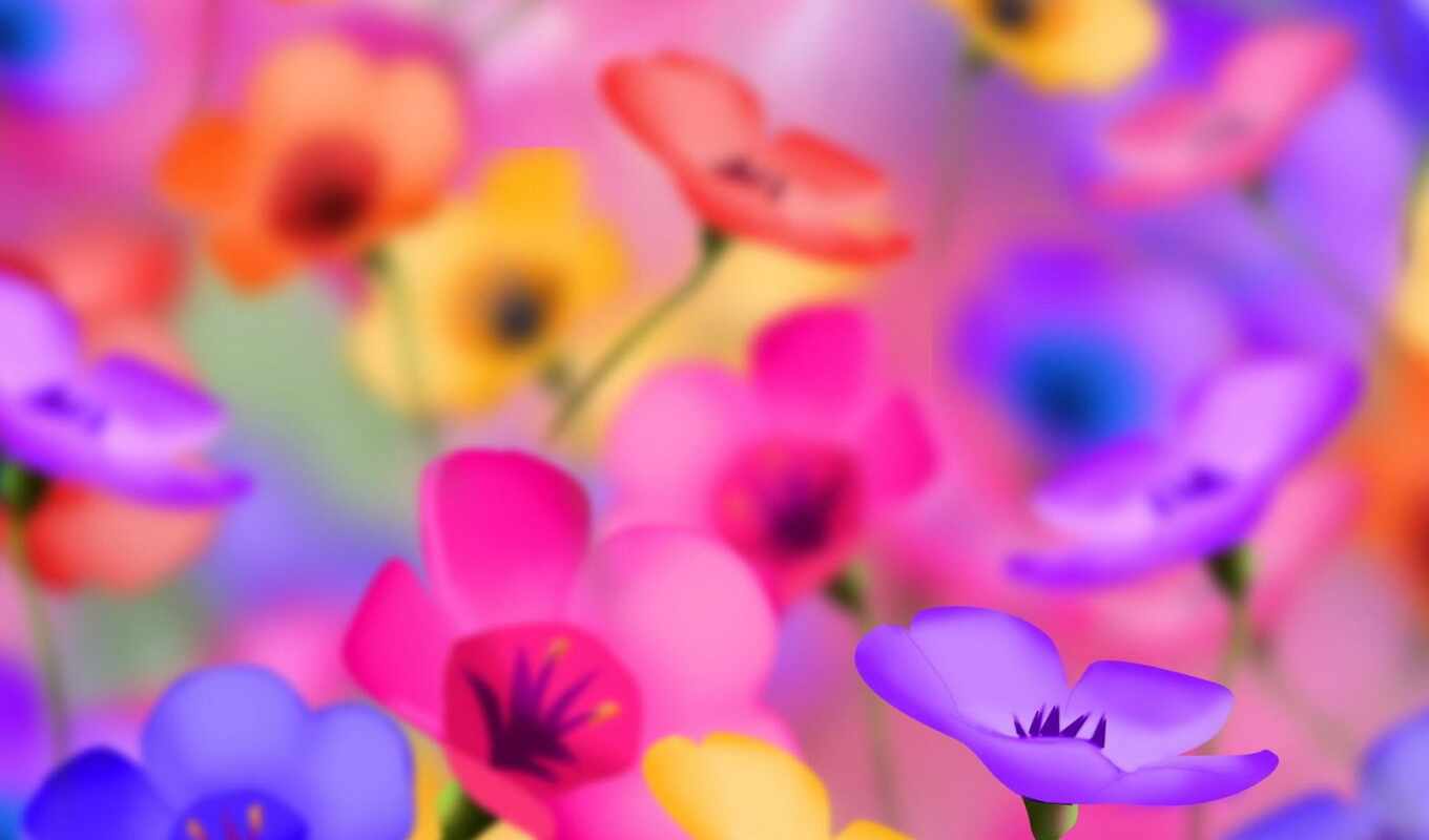 flowers, colorful