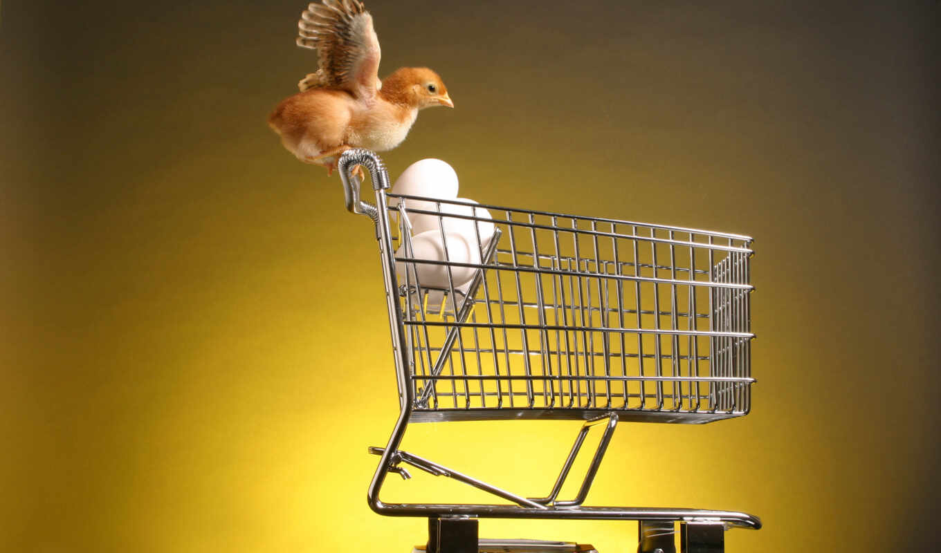 pic, bird, trolley