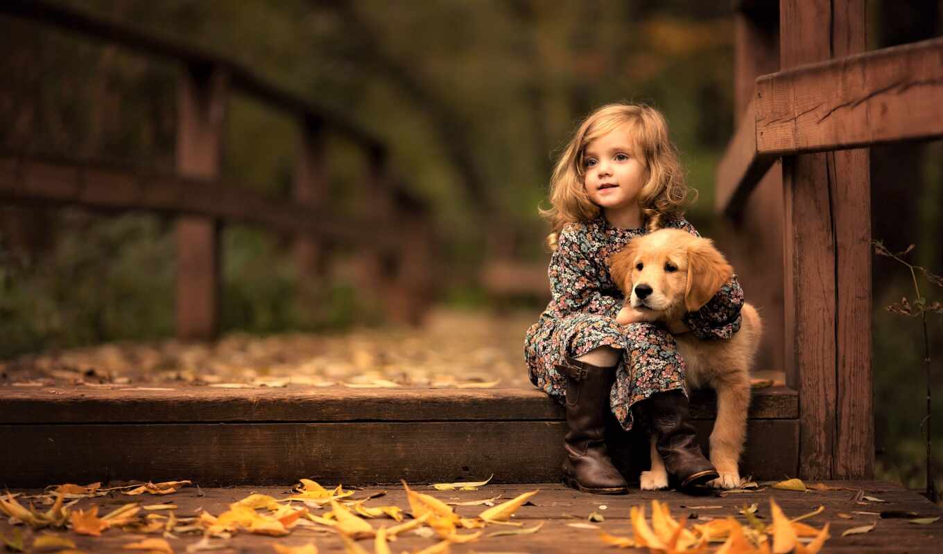 girl, cute, dog, little, she, autumn, puppy, animal, baby, kid, parent