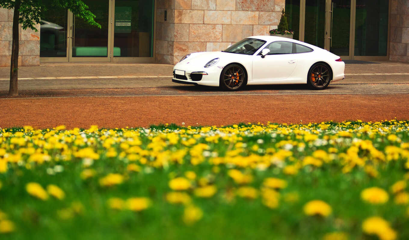 wallpaper, flowers, white, cars, spring, Porsche, choose, with the button, right, mice, offices