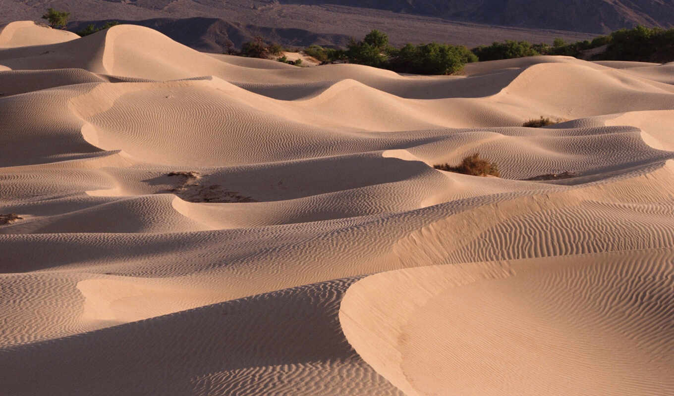 природа, песок, пустыня, dune, бархан