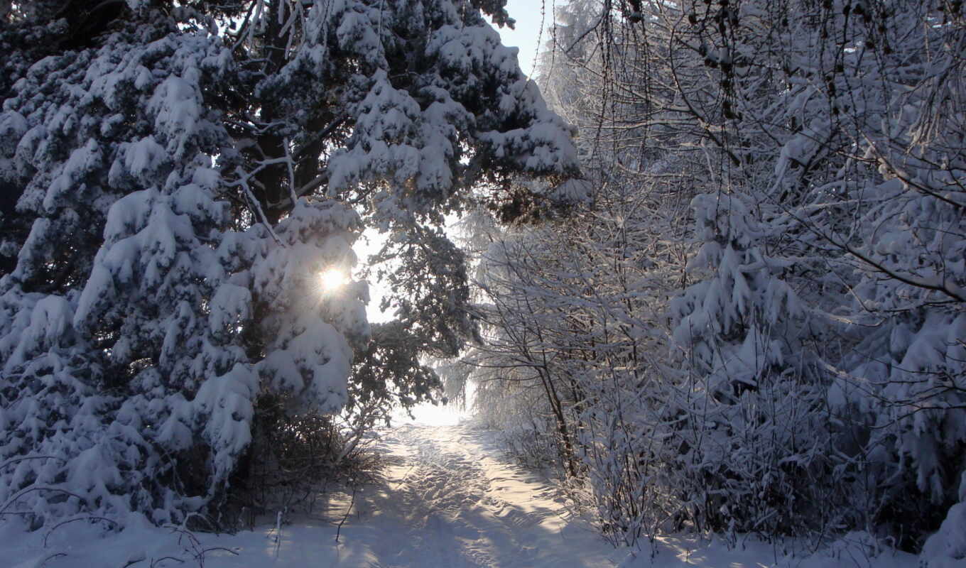 nature, landscapes-, snow, winter, roads, years, time, trees, rays, favourite, holy