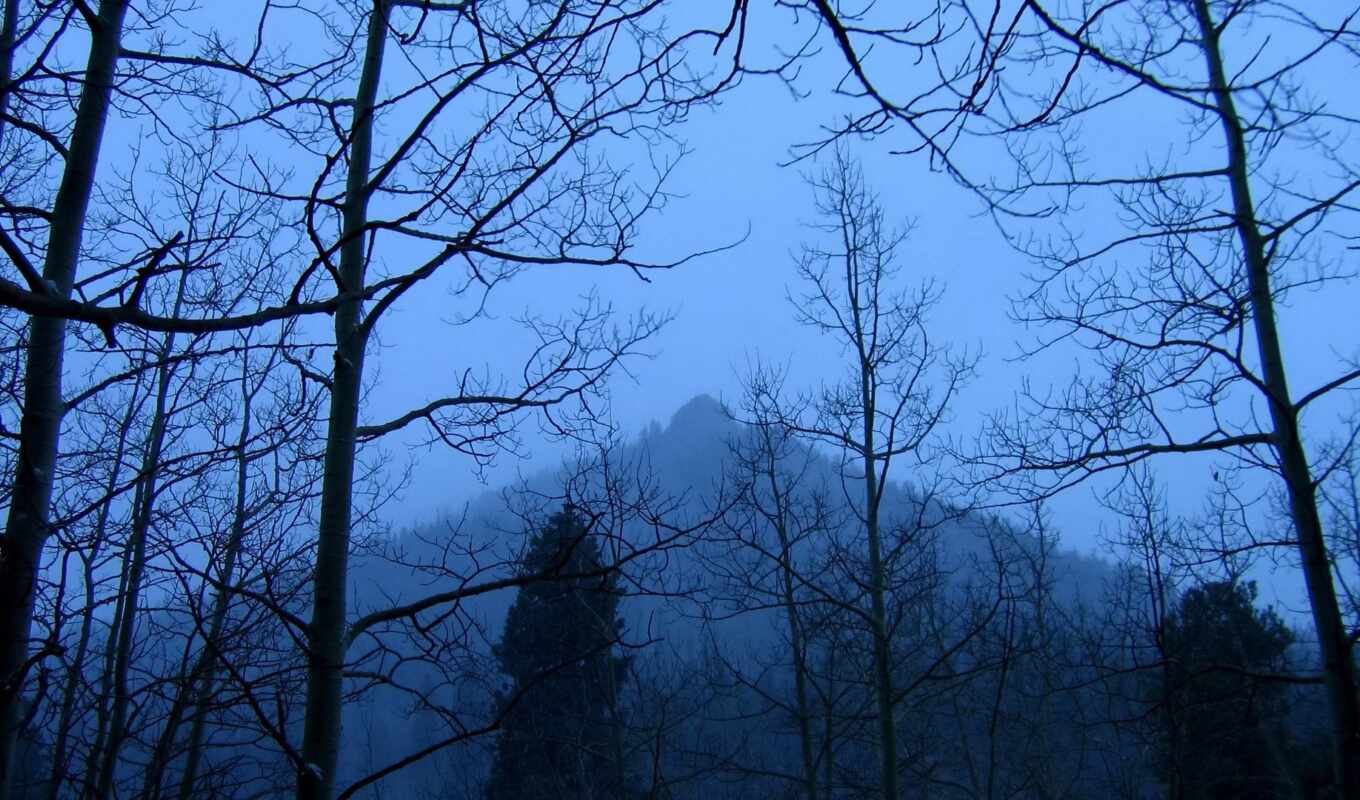 лес, castle, gothic, хмурый