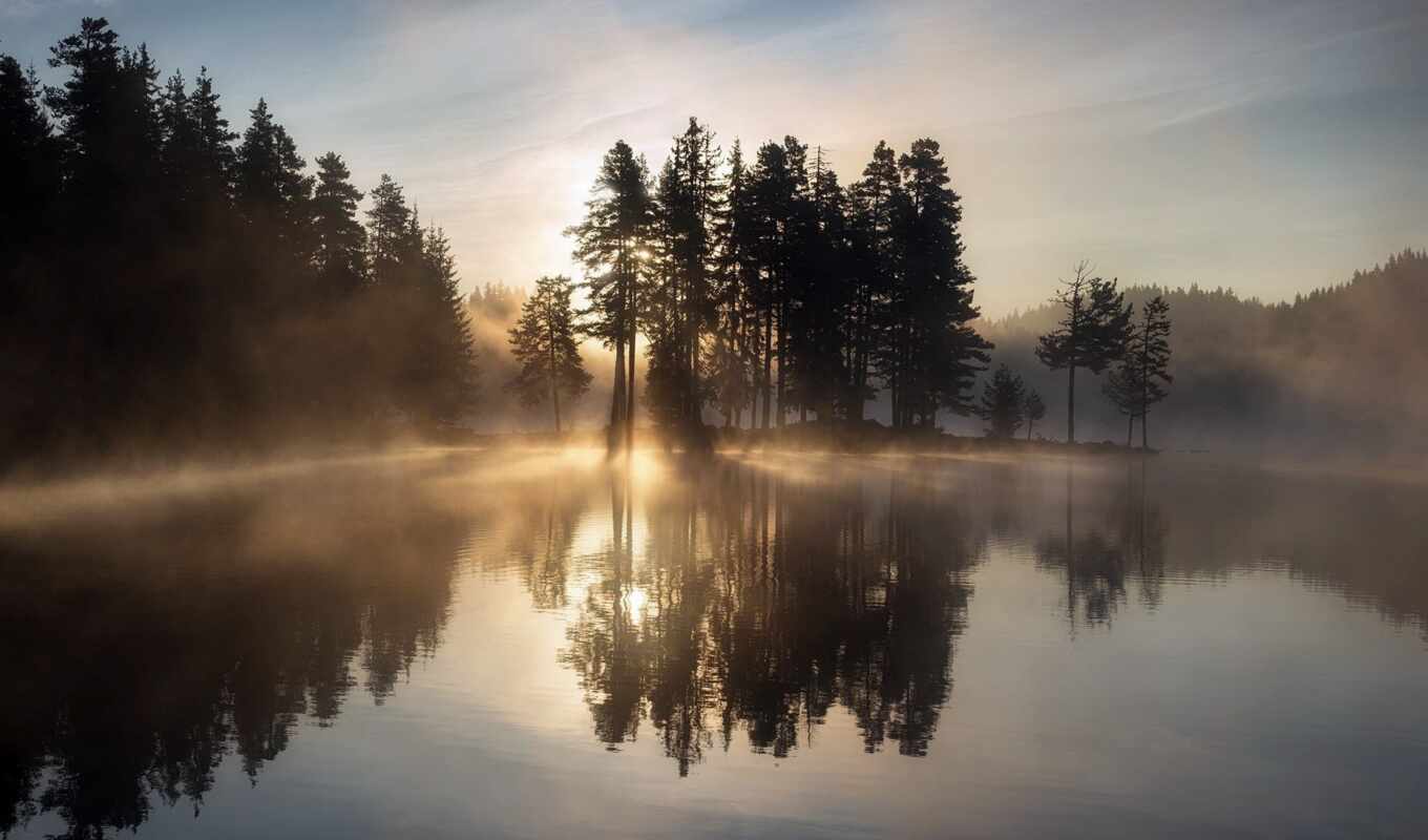 lake, nature, tree, sunset, water, landscape, morning, sunrise, fog, reflection, fore