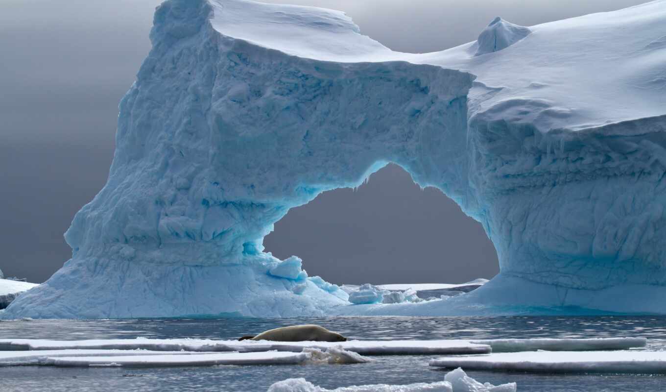 лед, айсберг, ледник, арктический, полярные льды, морской лед, северный Ледовитый океан, ледяная шапка